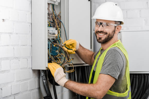 Best Electrician for Home Renovation  in Forestville, OH