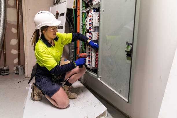 Best Generator Installation Services  in Forestville, OH