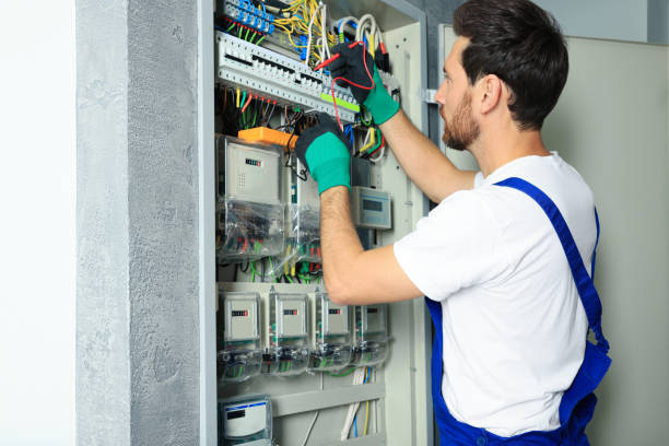Best Electrical Rewiring Services  in Forestville, OH